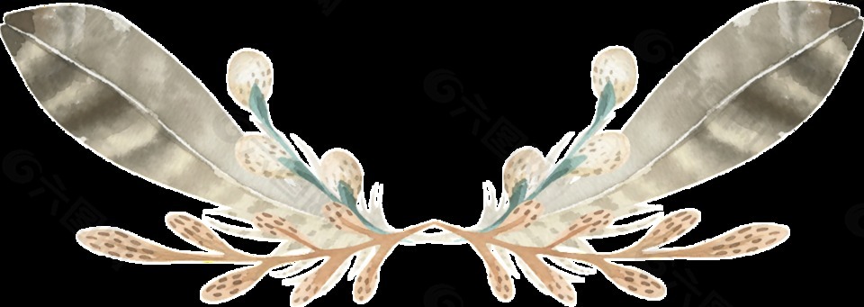 羽毛透明装饰图案