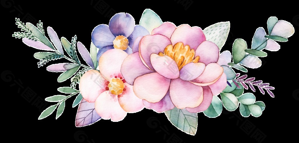 贺卡花卉透明装饰图案