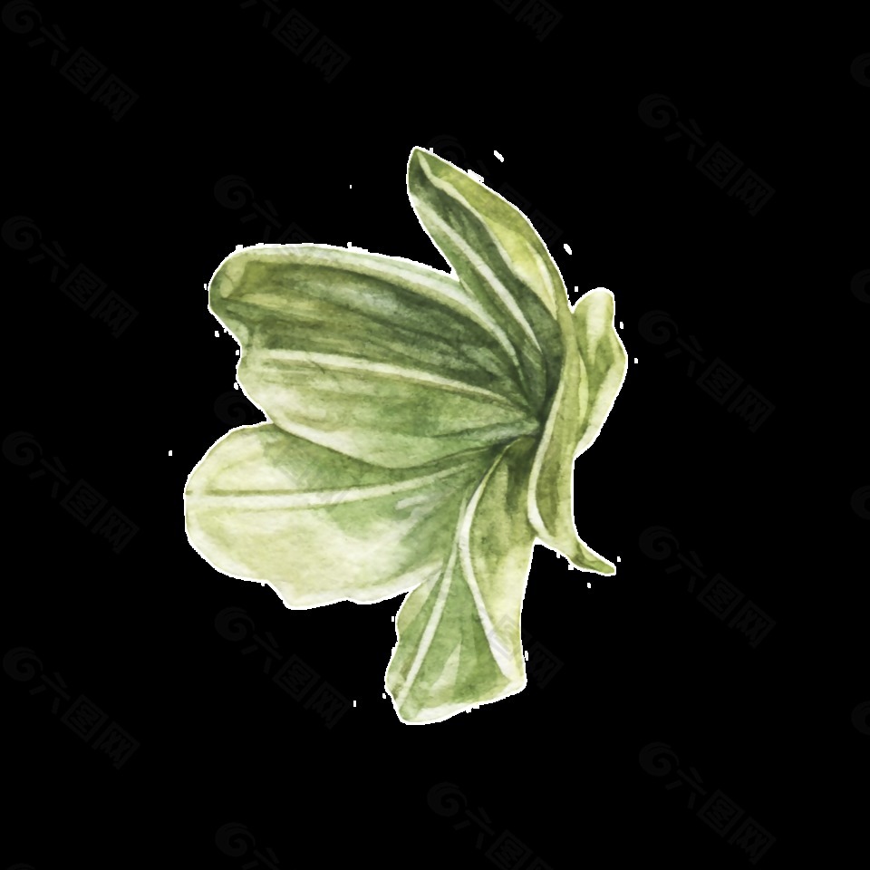 绿色蔬菜装饰图案