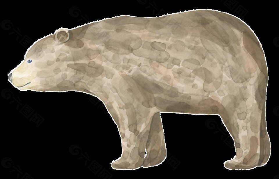 手绘站距着的熊透明装饰图案