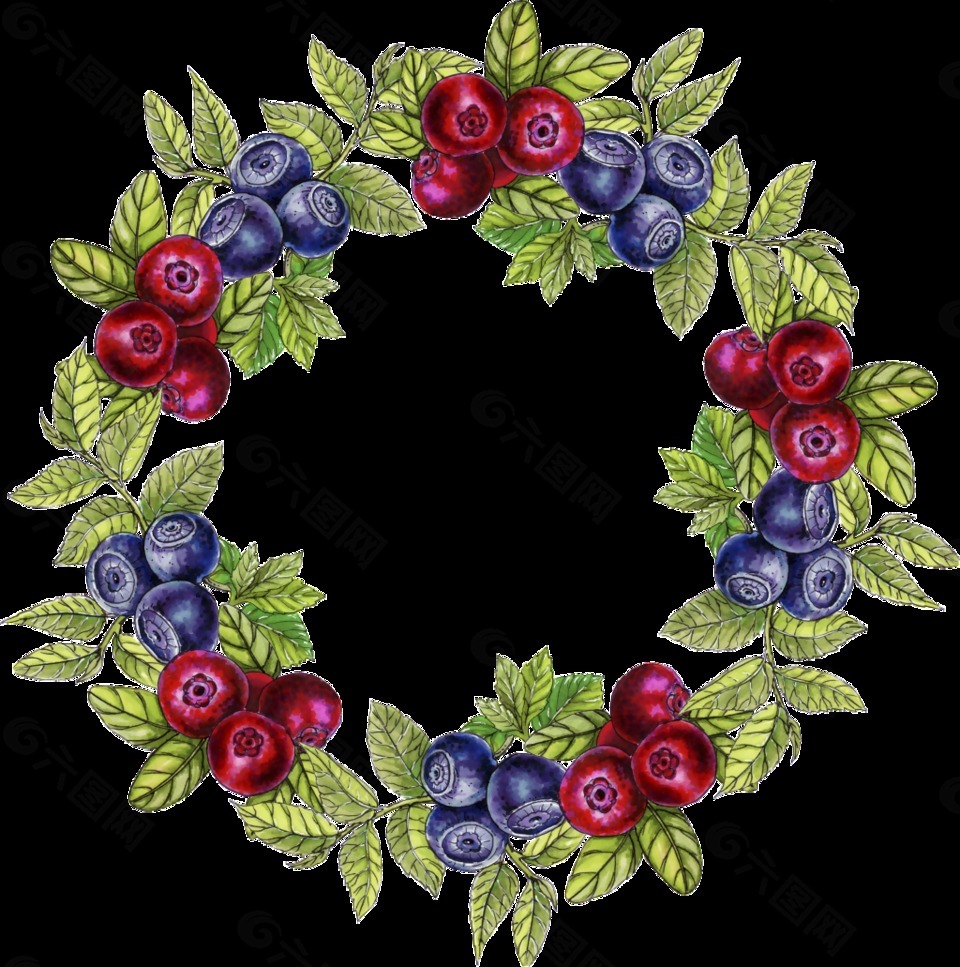 手绘蓝莓树叶花环透明装饰图案