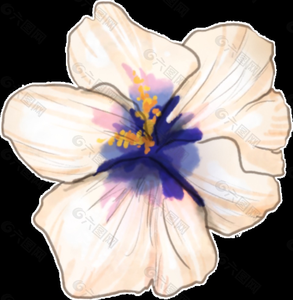 淡粉色水彩花朵透明装饰图案