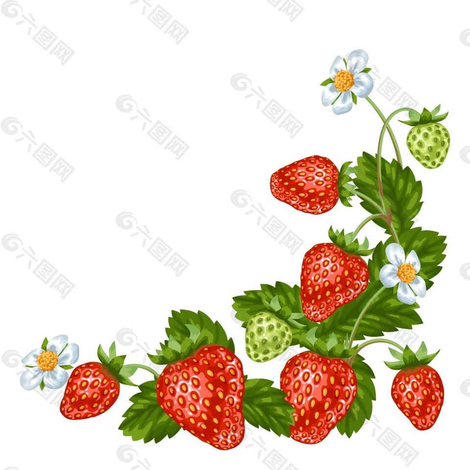 新鲜美味的草莓插画