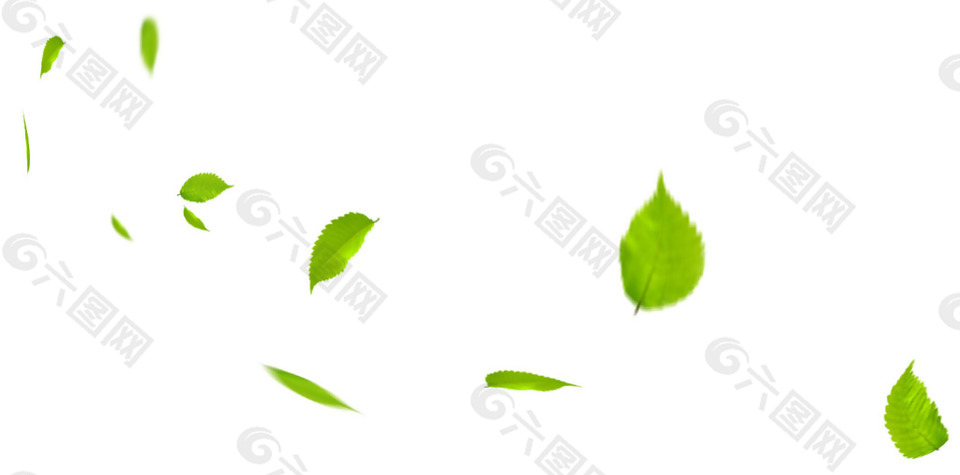 绿色叶子png元素素材