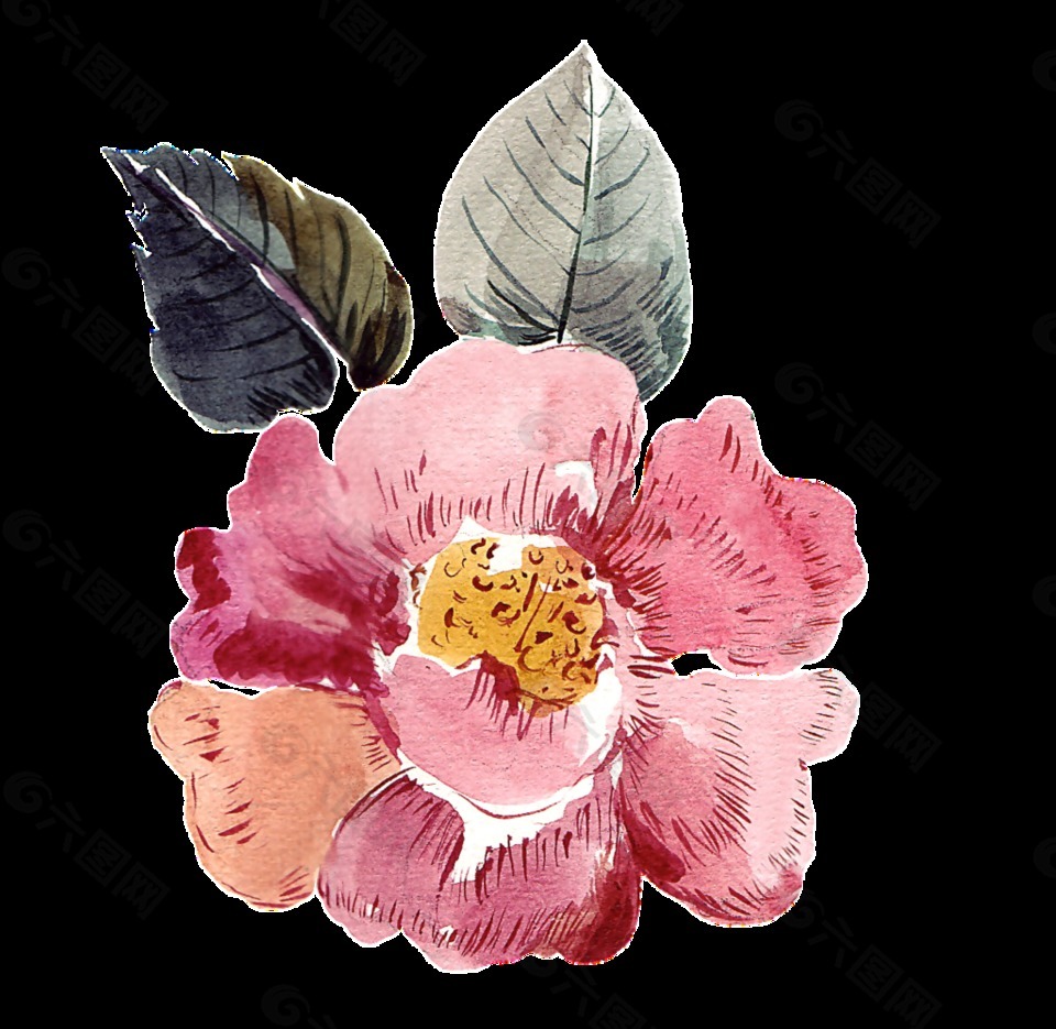 少女系花卉透明装饰素材