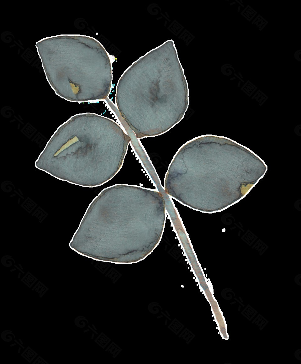 手绘水墨色单叶植物叶子png透明素材