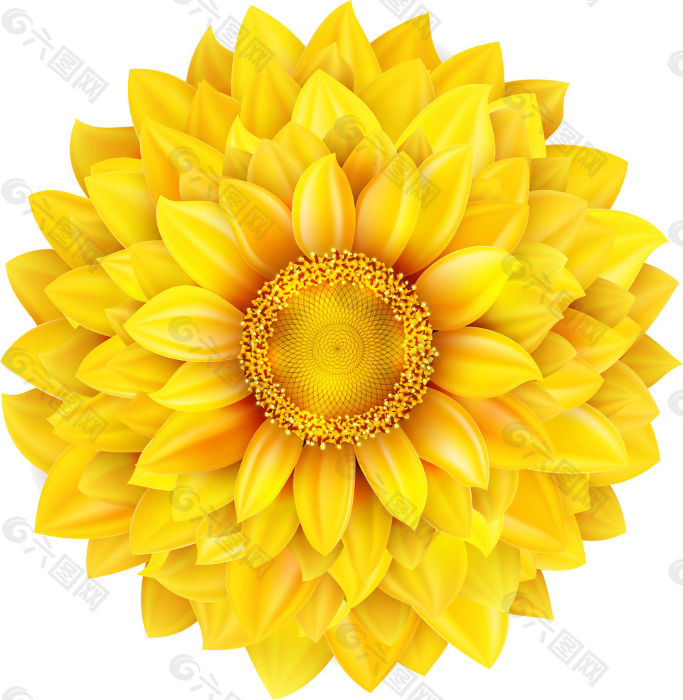 矢量高清黄色向日葵花