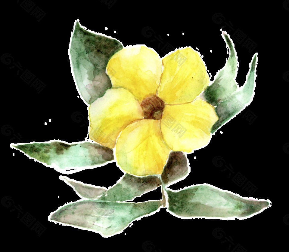 手绘水彩黄色花png透明素材