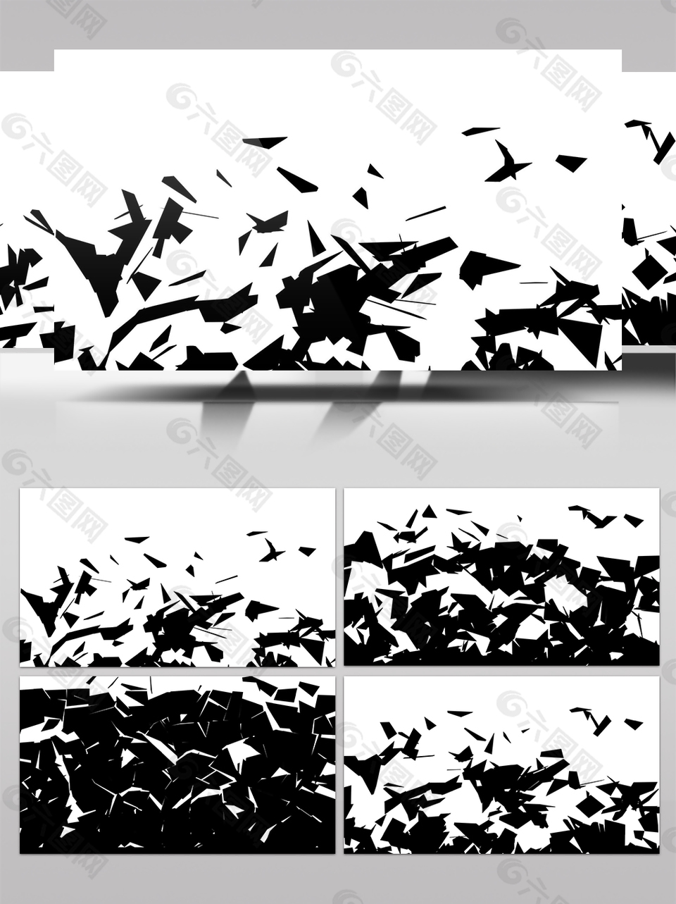 白色野草视频素材