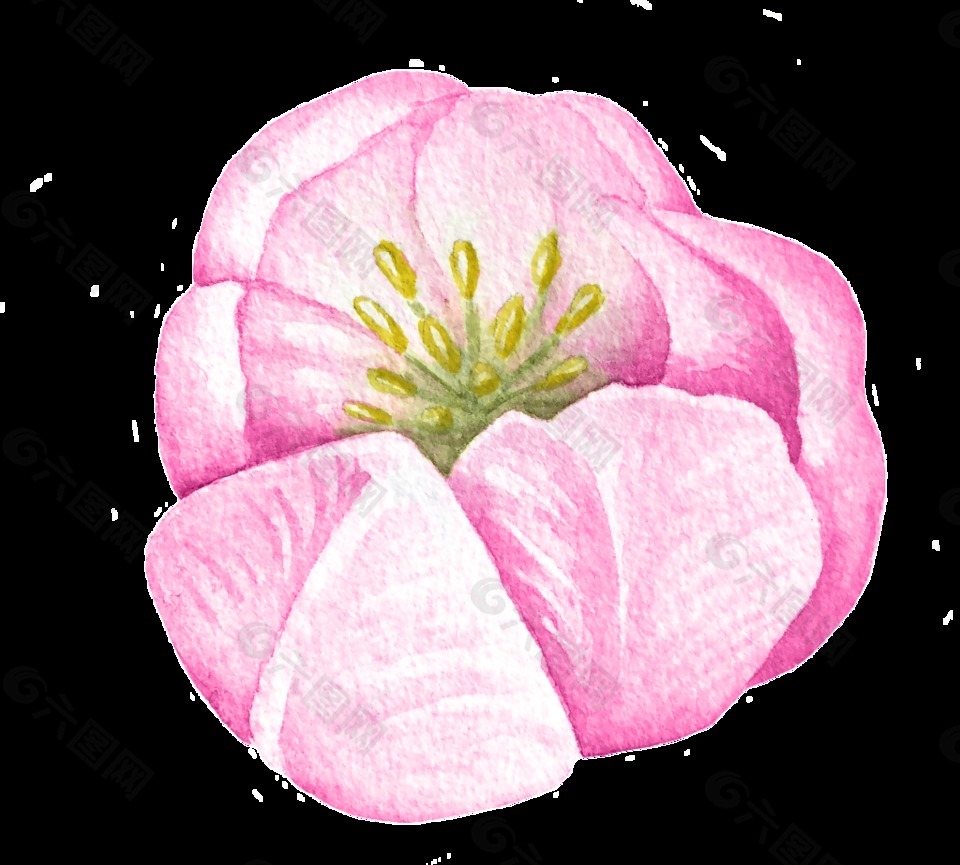 淡粉色小花卡通透明素材