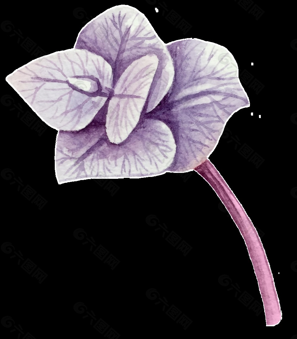 紫色树叶花卡通透明素材