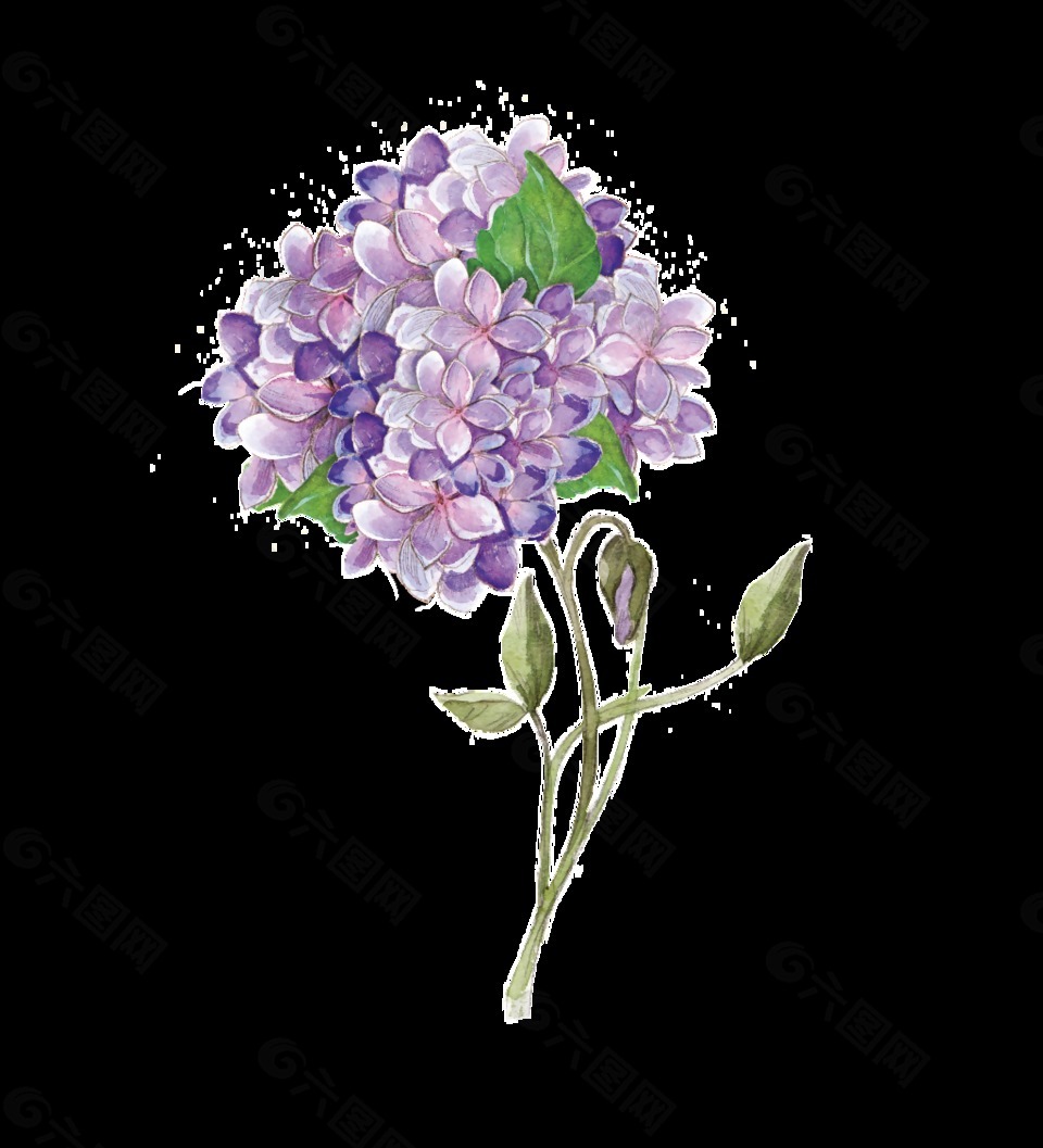 紫色优雅花卉卡通透明素材