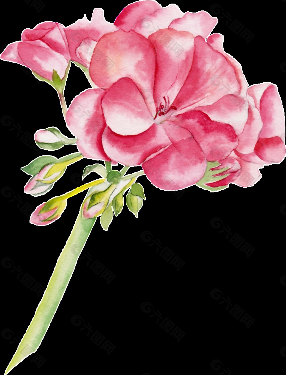 灿烂花蕊卡通透明素材