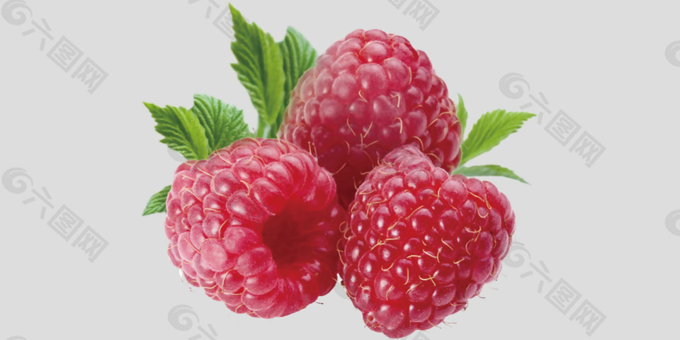 漂亮红色覆盆子免抠psd透明素材