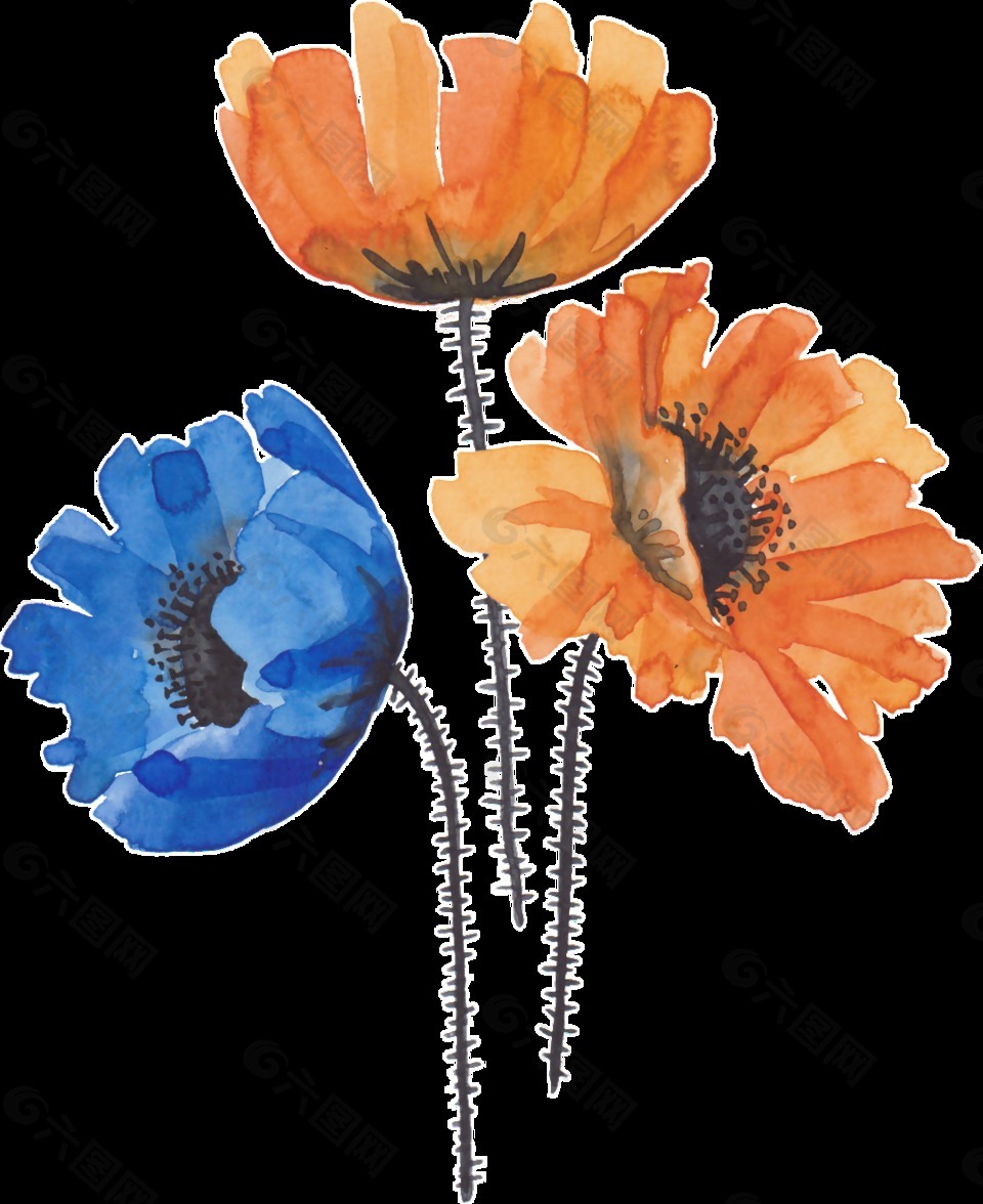 三朵花卉卡通透明装饰素材