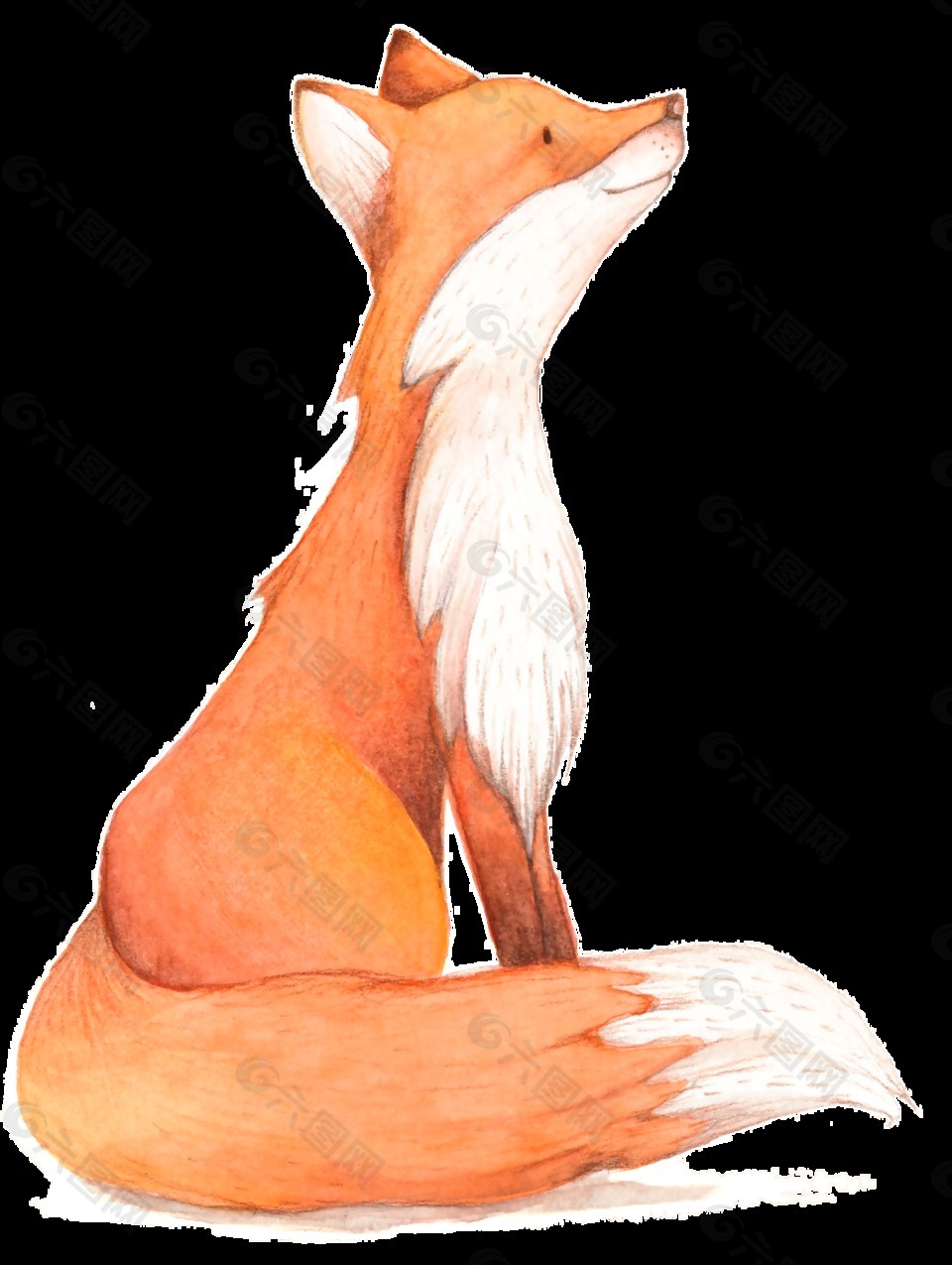 可爱狐狸卡通水彩透明素材设计元素素材免费下载 图片编号 六图网