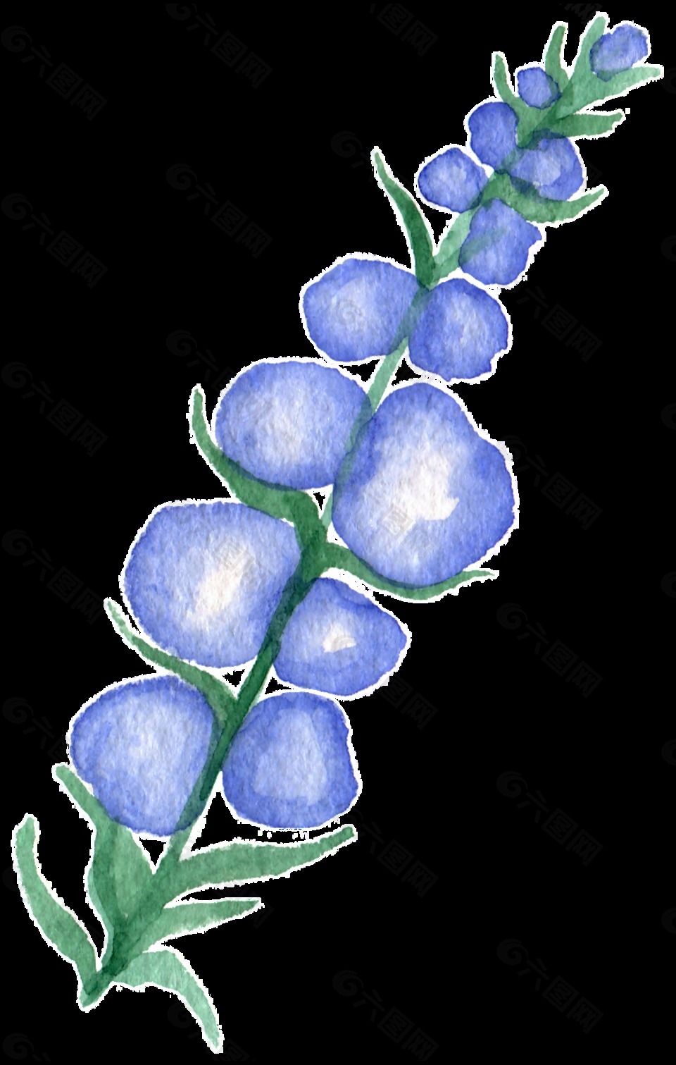 紫白果叶卡通水彩透明素材