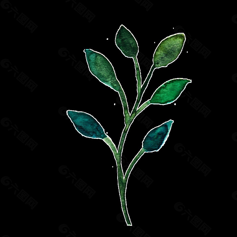 嫩绿时尚树叶透明素材