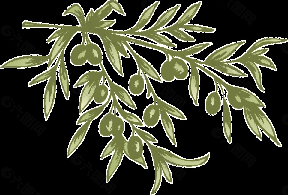 免抠橄榄树元素图片