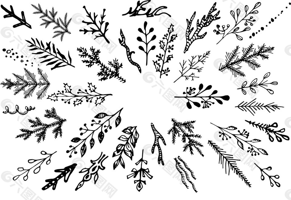 黑白手绘植物图案