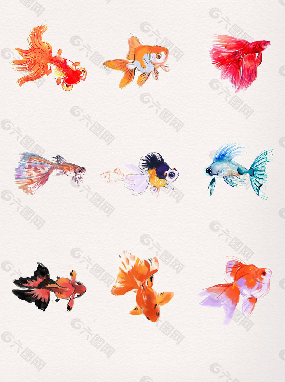 唯美中国风多彩金鱼