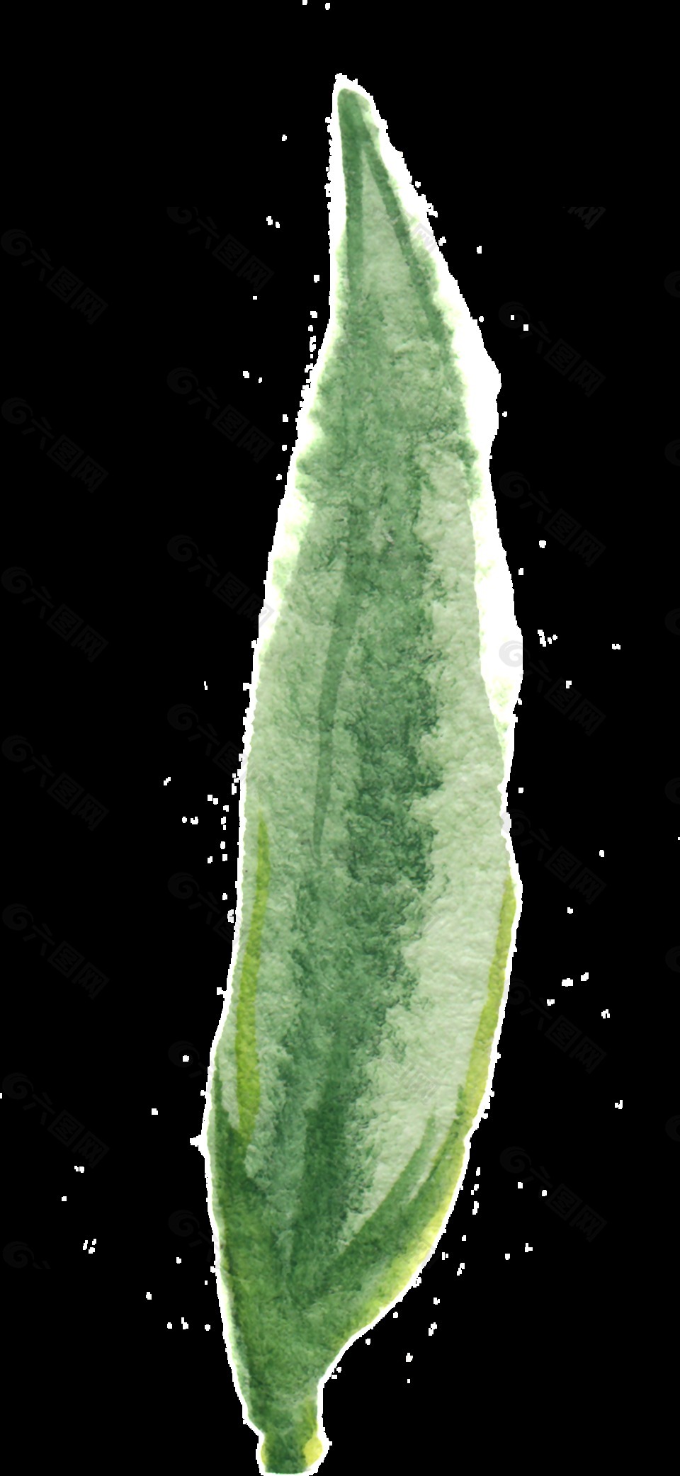 芦荟绿枝透明装饰素材