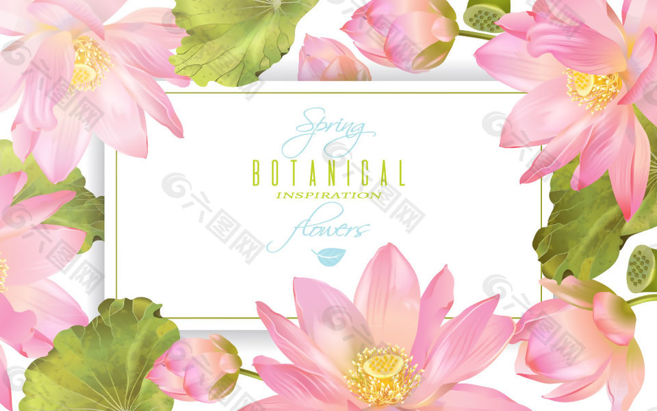 粉色荷花框架设计矢量素材