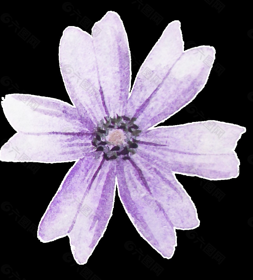 灿紫花蕊透明装饰素材