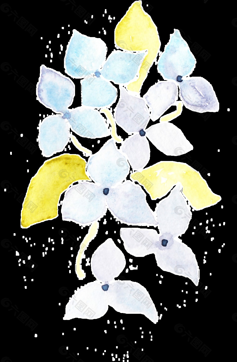 白黄花叶透明装饰素材