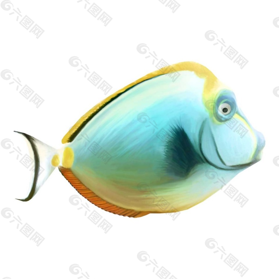 蓝色热带鱼png元素