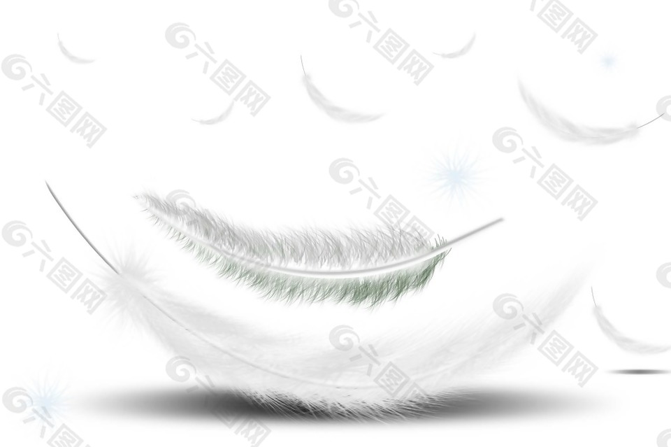 白色色羽毛图案PNG元素