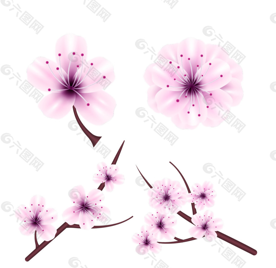 清新风格紫色花蕊樱花装饰元素