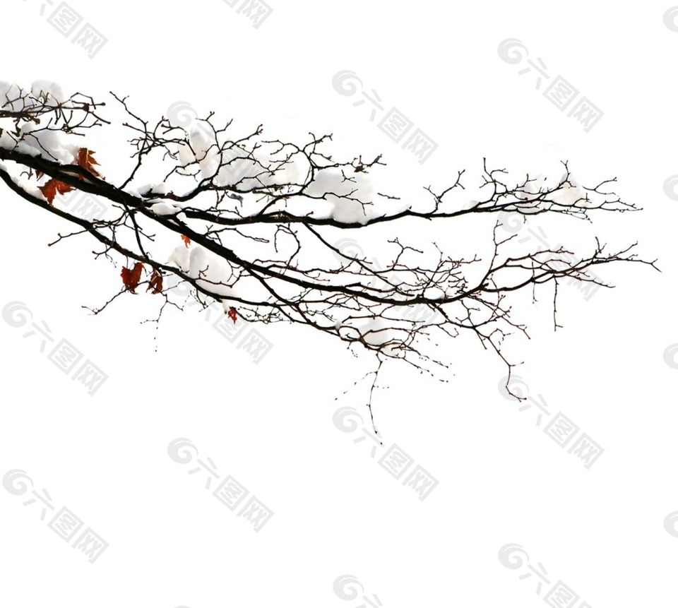 手绘黑色树枝元素