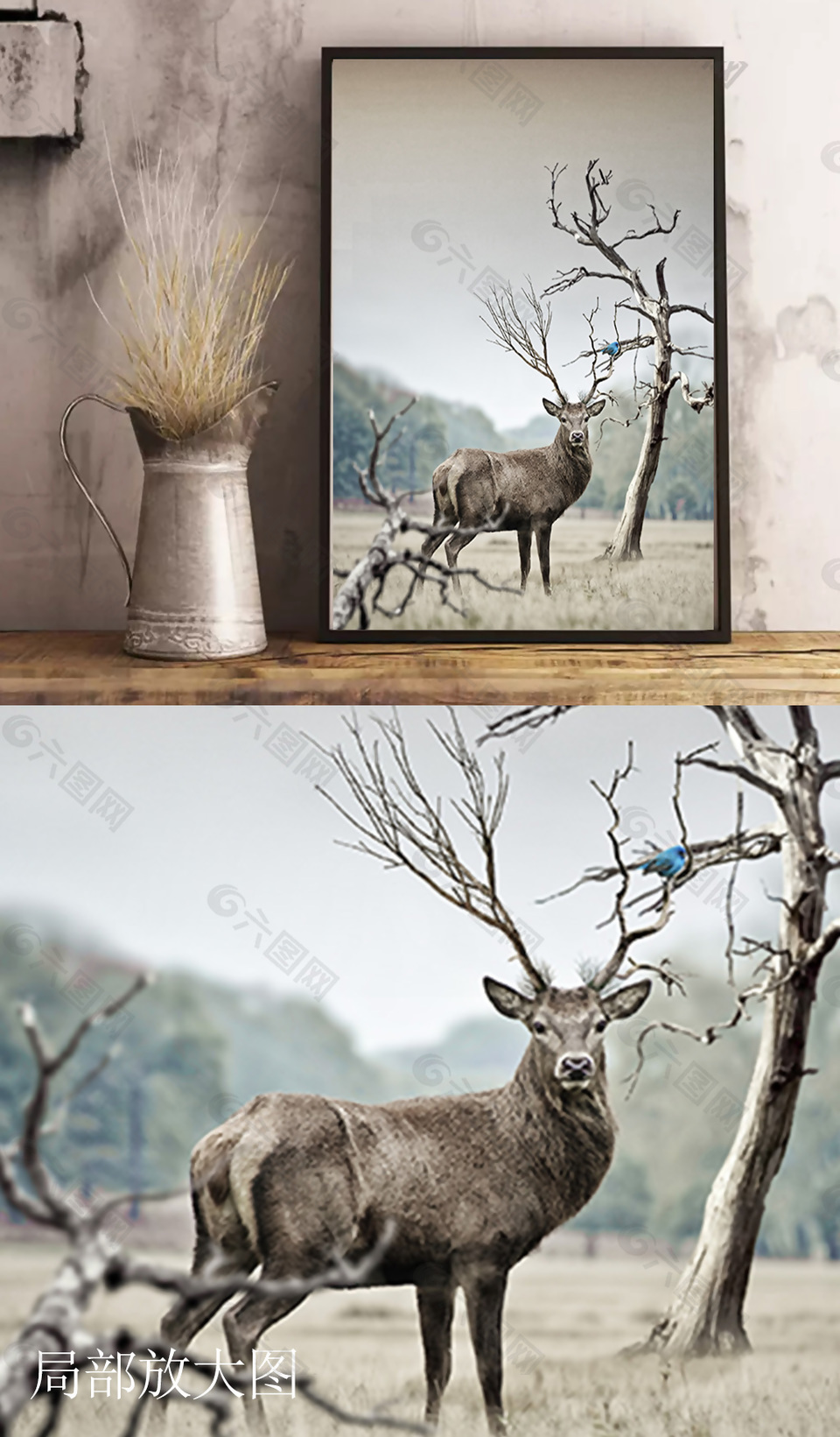 高清麋鹿摄影图装饰画