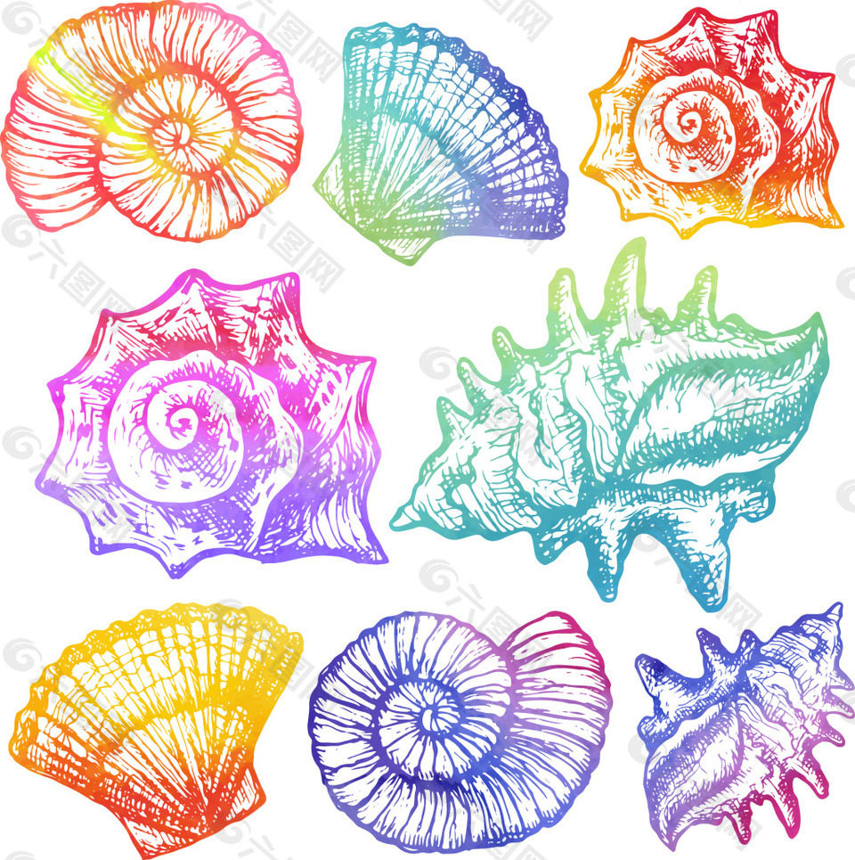手绘彩色渐变海螺插画