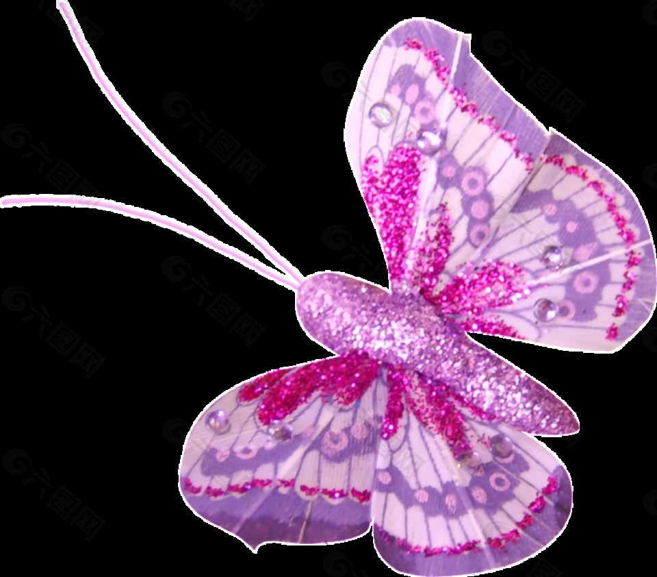 紫色蝴蝶png透明素材