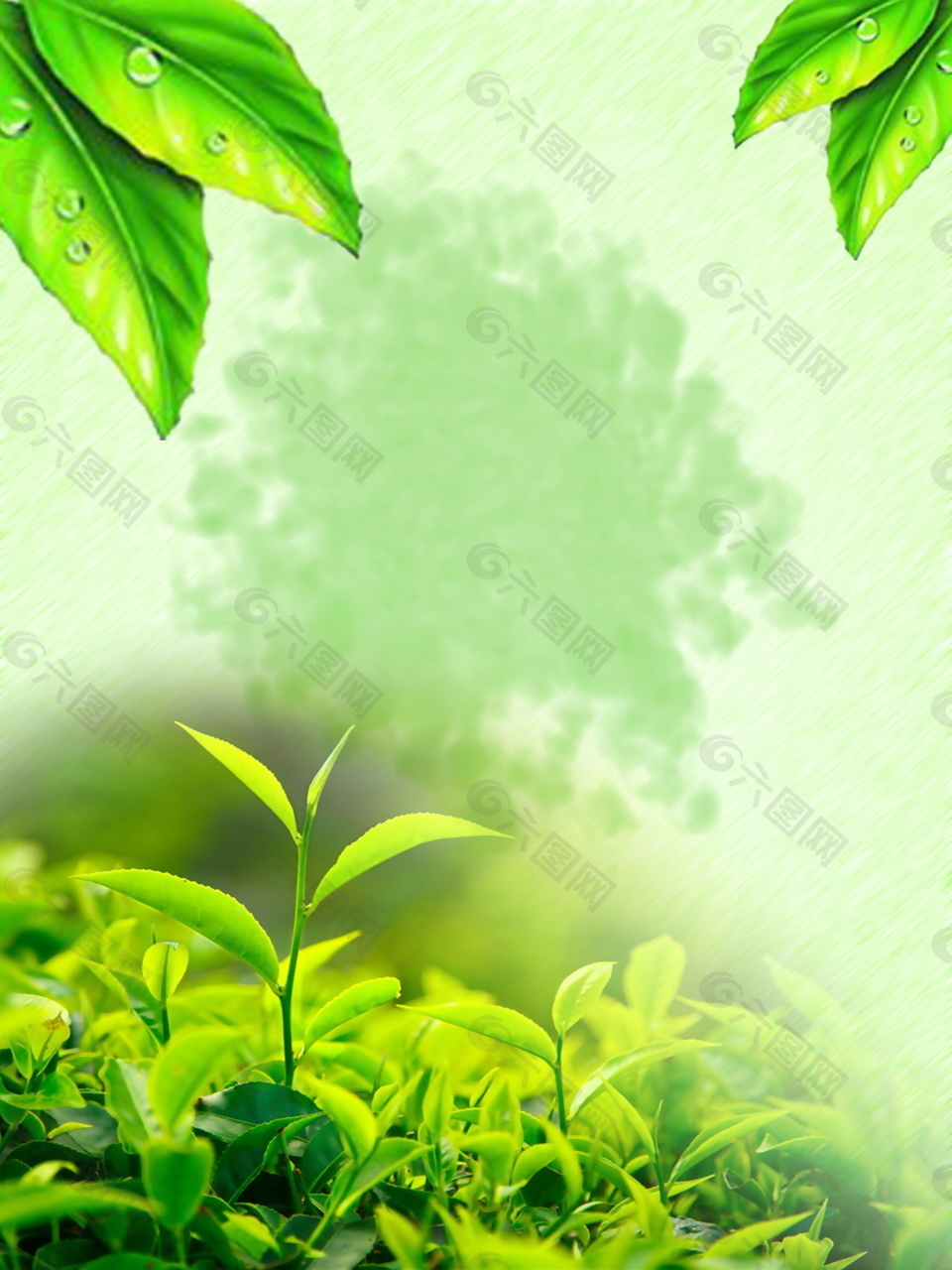 绿色嫩芽茶叶文化海报背景