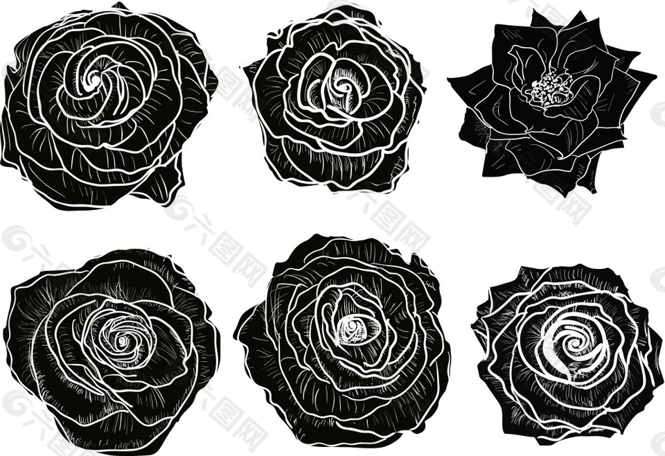 黑白艺术玫瑰花插画