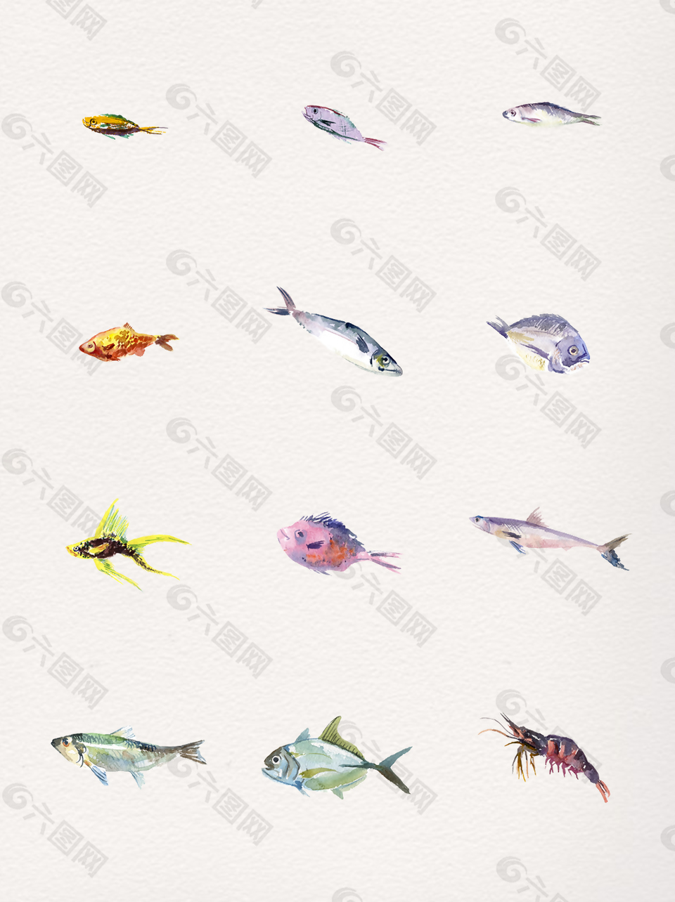 手绘彩色海鱼卡通透明素材合集