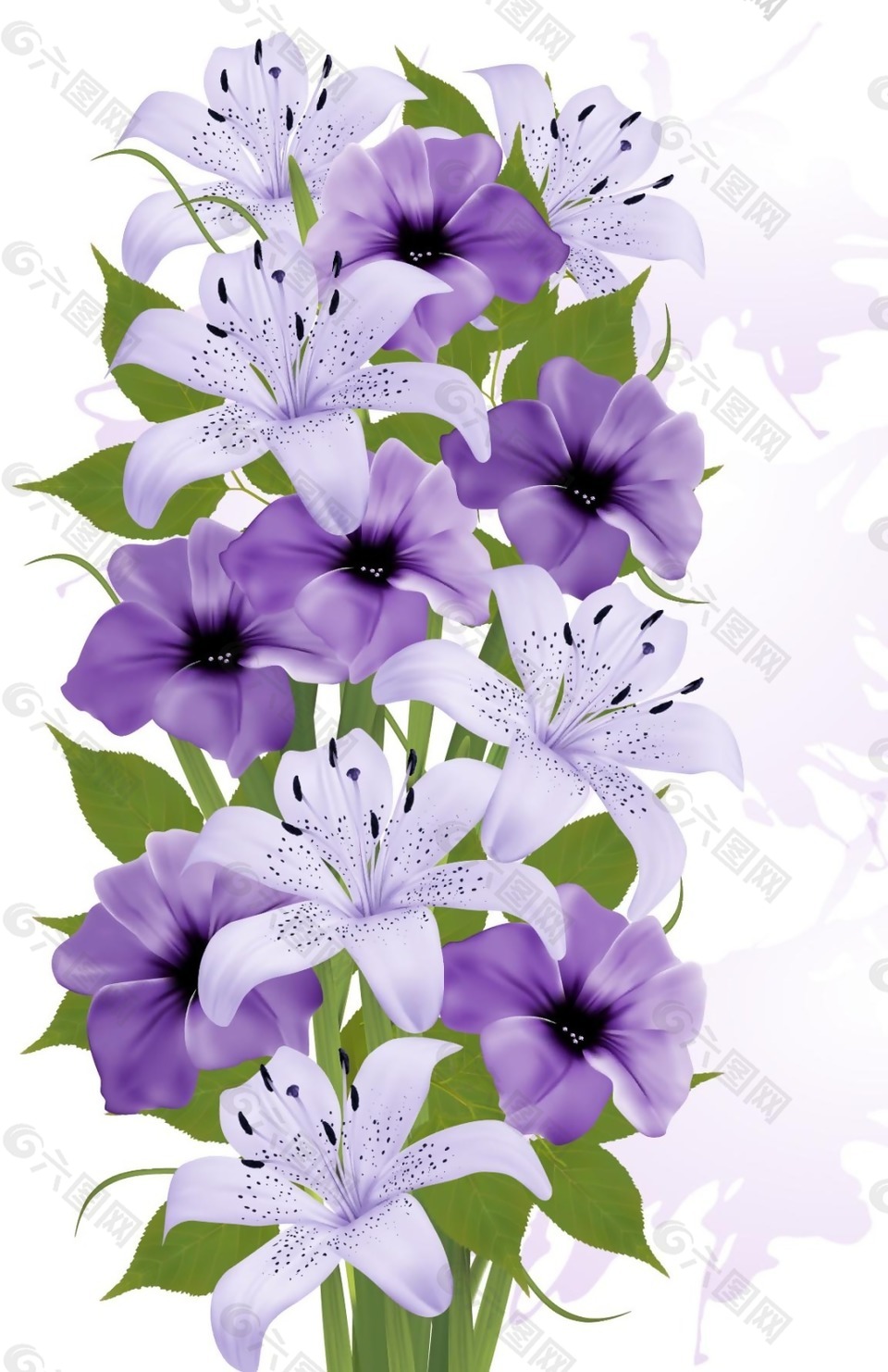 唯美紫色的百合花植物平面广告素材免费下载 图片编号 六图网