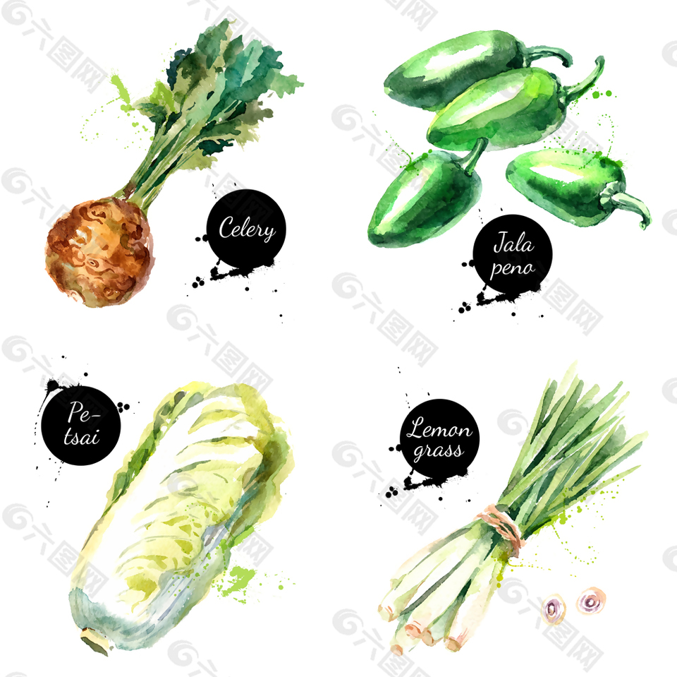 四款手绘蔬菜插画