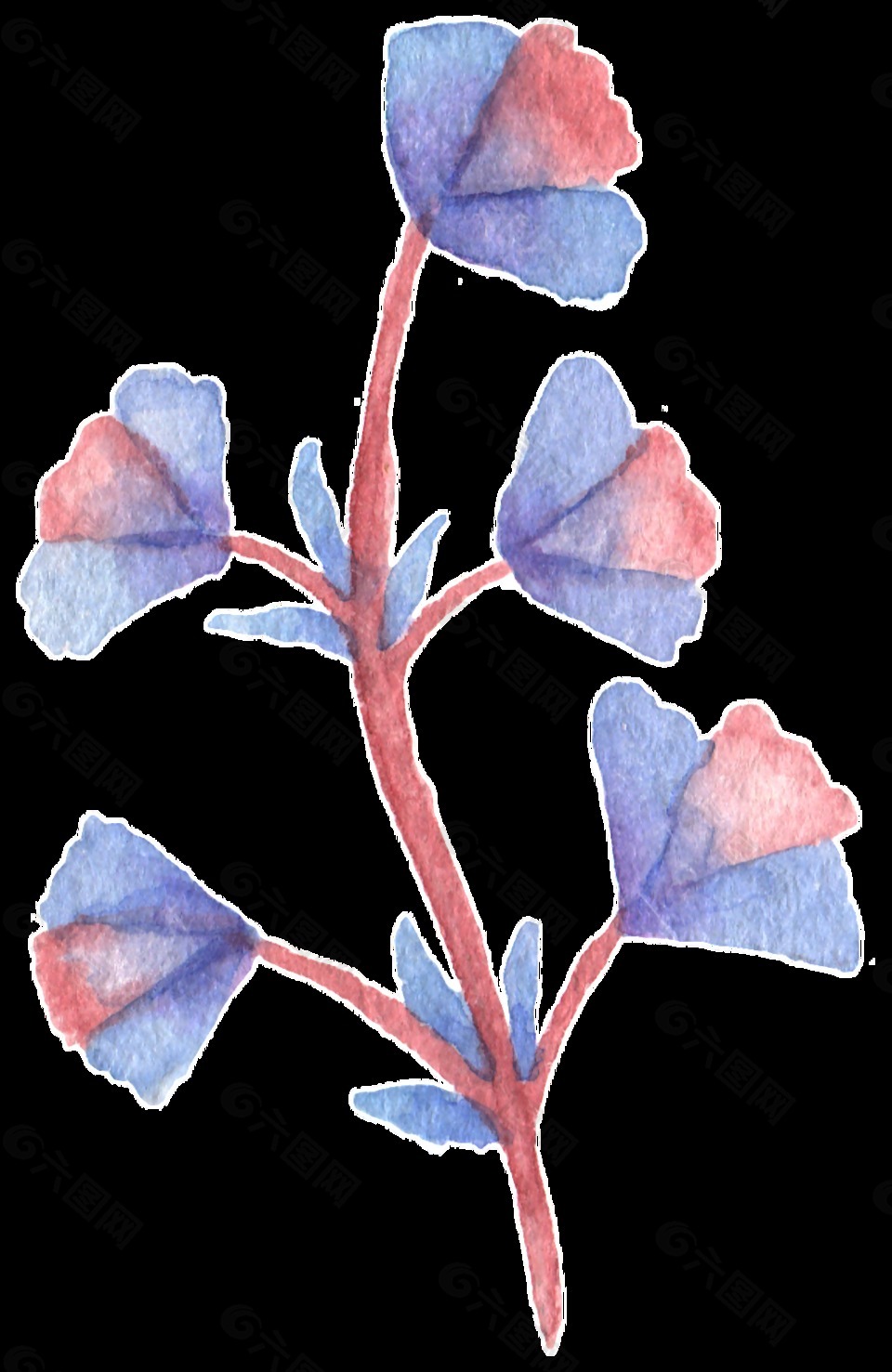 手绘五朵花花枝水彩透明素材