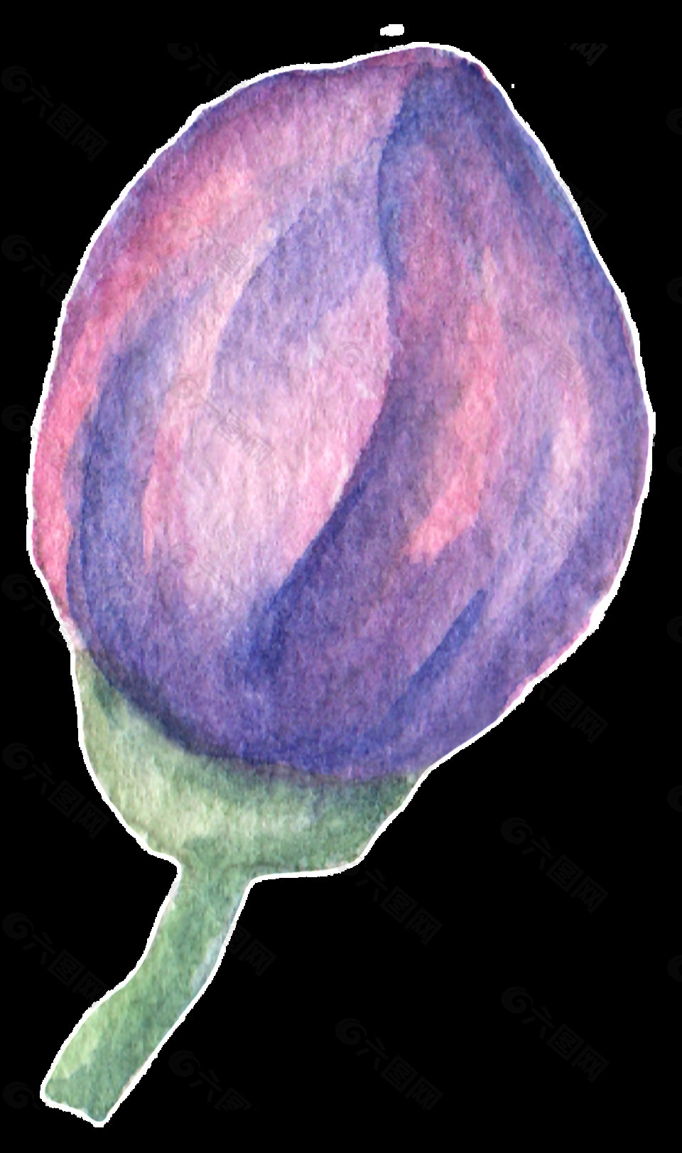 手绘紫色鲜花花苞水彩透明素材