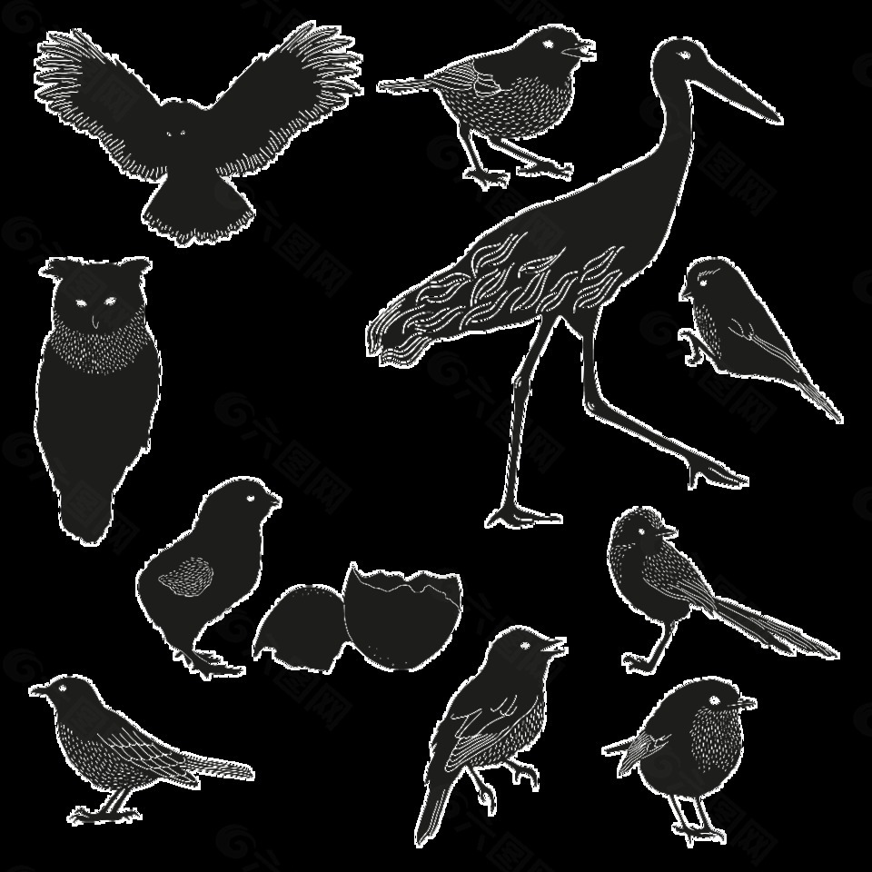 各种大小鸟类透明黑色剪影
