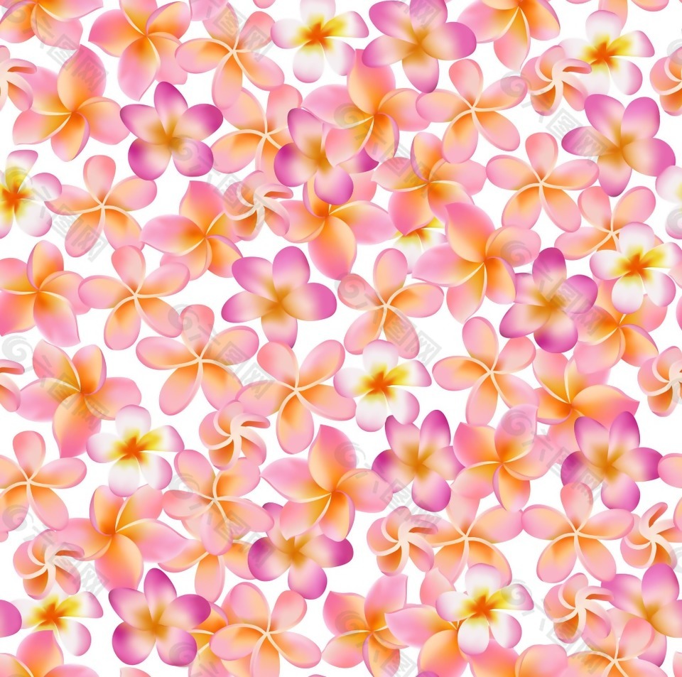 粉色浪漫的鸡蛋花纹理背景