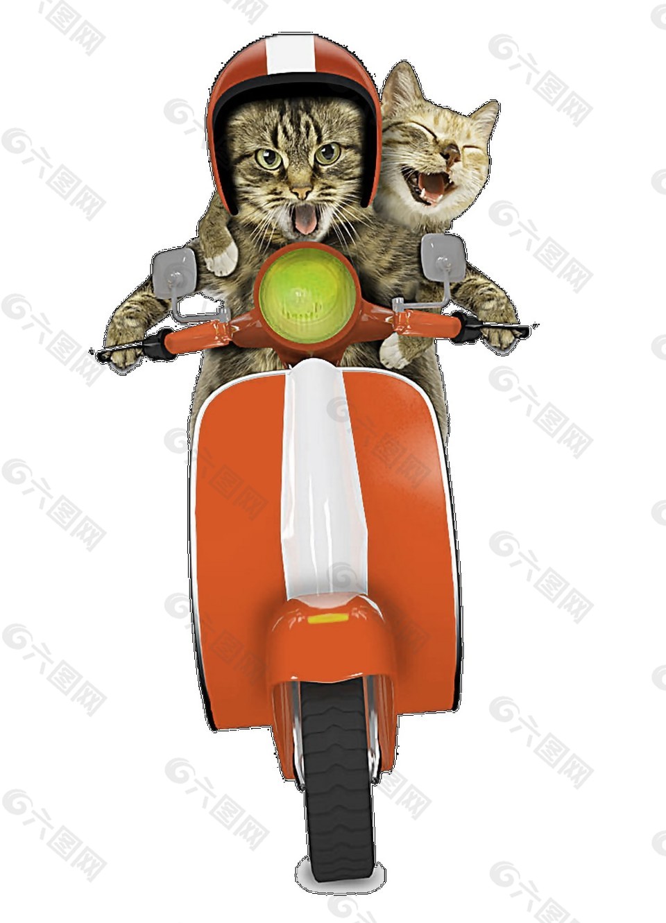 骑车的卡通猫咪素材