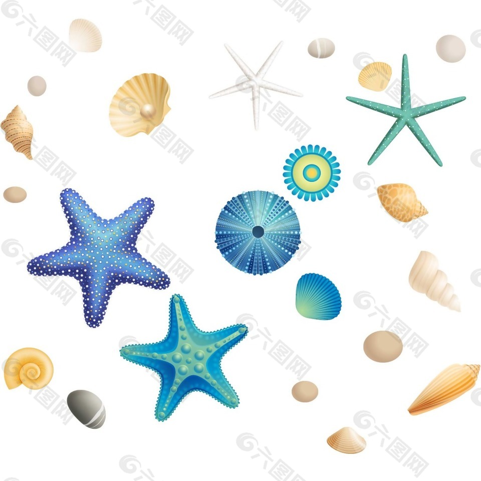 卡通彩色海洋贝壳png元素