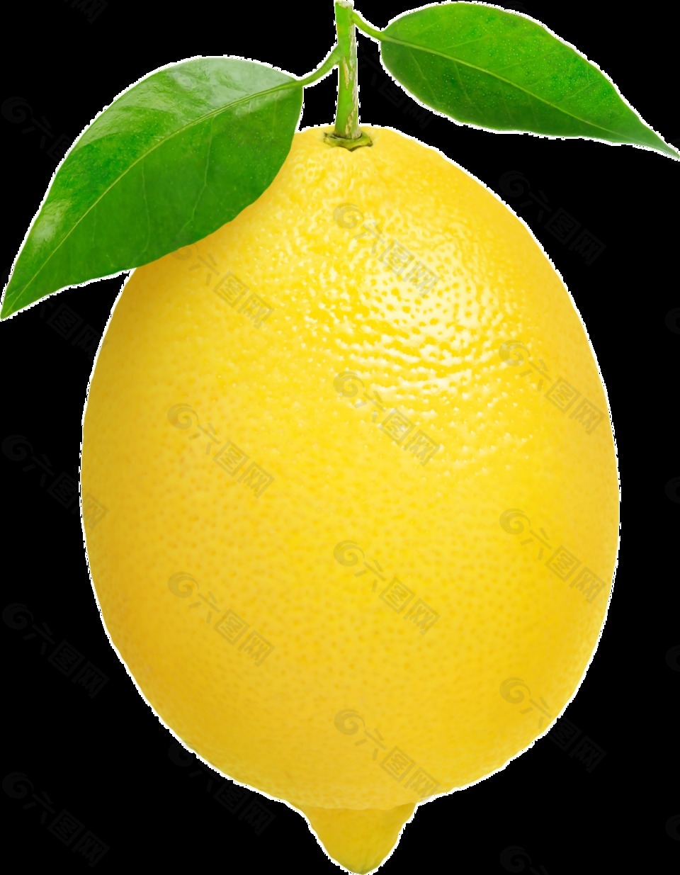 一颗新鲜的柠檬透明装饰图片