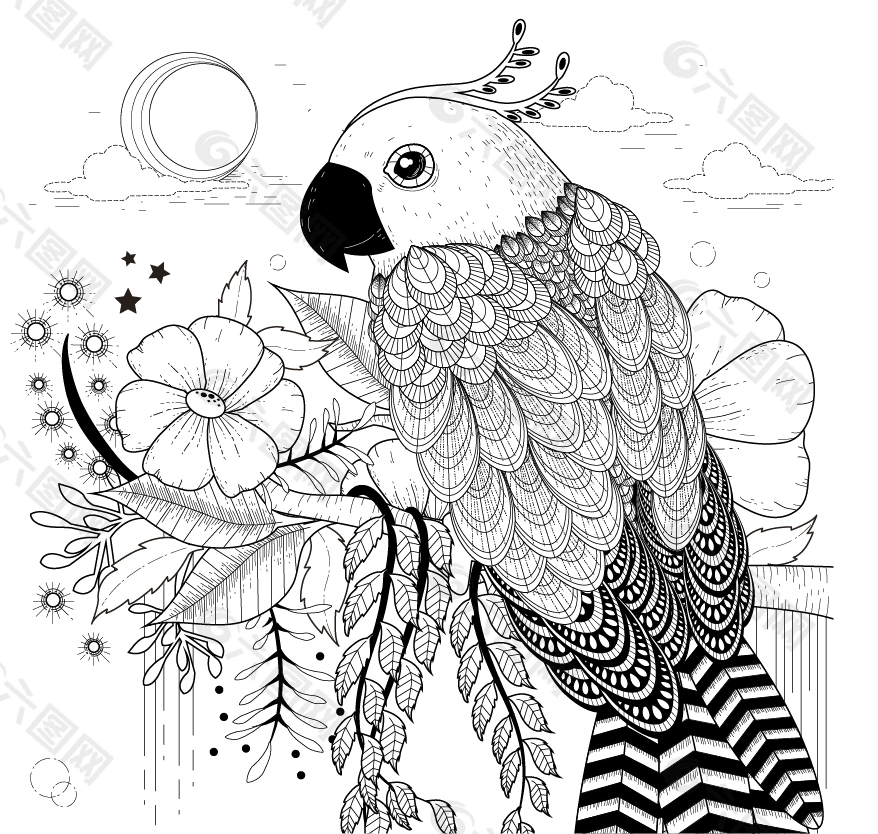 黑白手绘鹦鹉插画