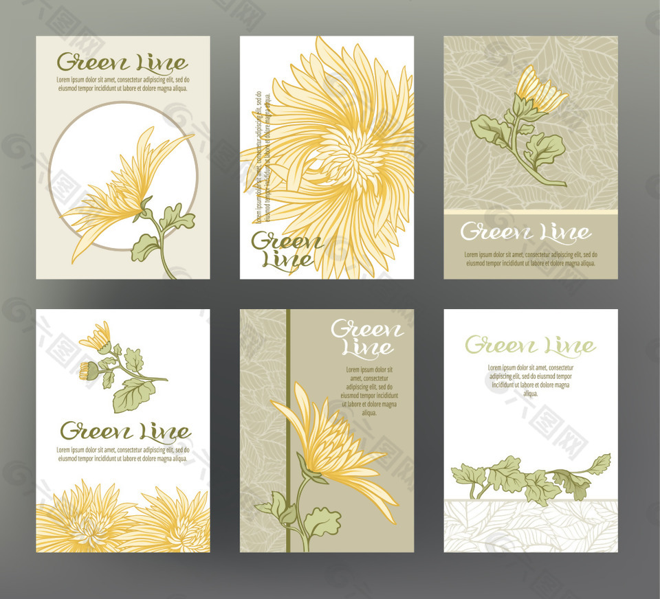 唯美时尚秋天的菊花插画